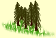 Fir Tree Consulting (Bristol) Ltd